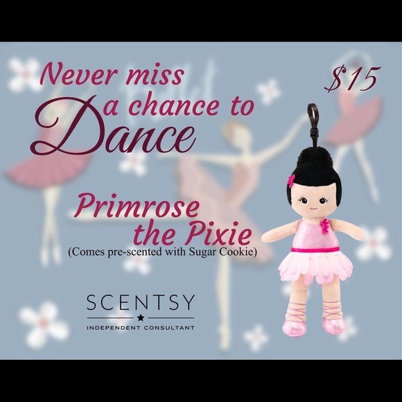 Scentsy products - Picture 8 of 16